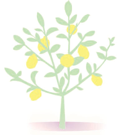 lemons-lavender